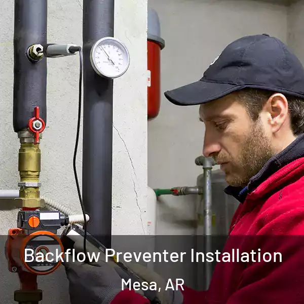  Backflow Preventer Installation Mesa, AR