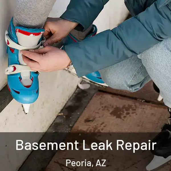  Basement Leak Repair Peoria, AZ