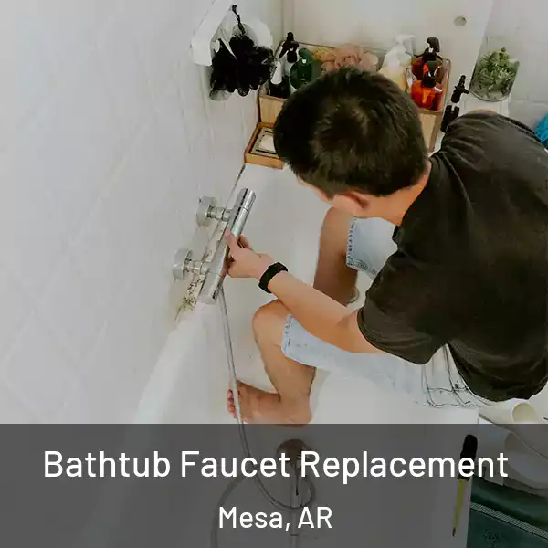  Bathtub Faucet Replacement Mesa, AR