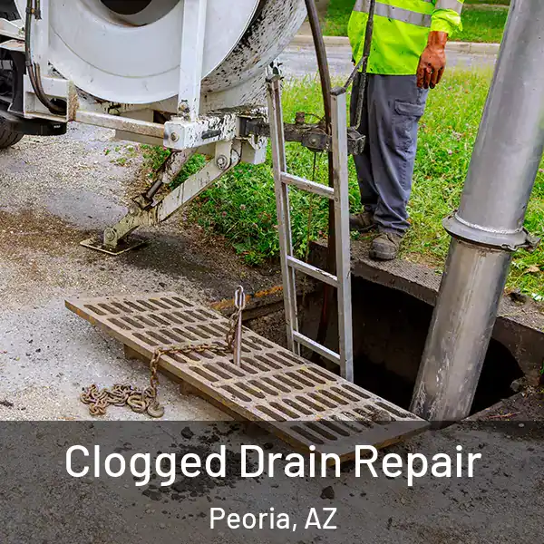  Clogged Drain Repair Peoria, AZ