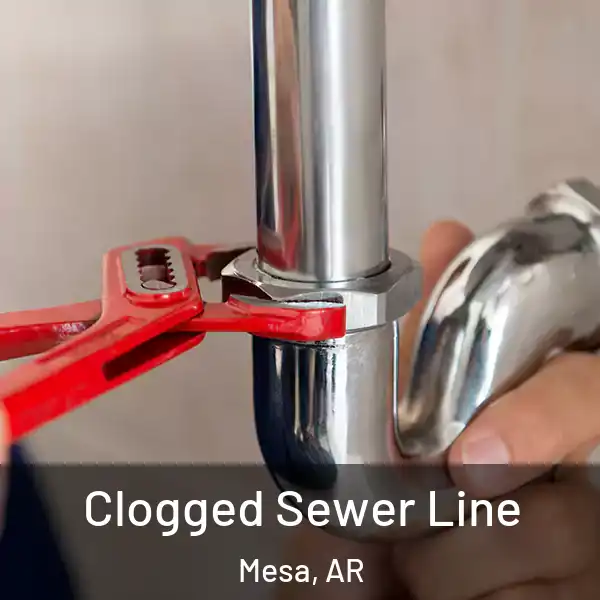  Clogged Sewer Line Mesa, AR