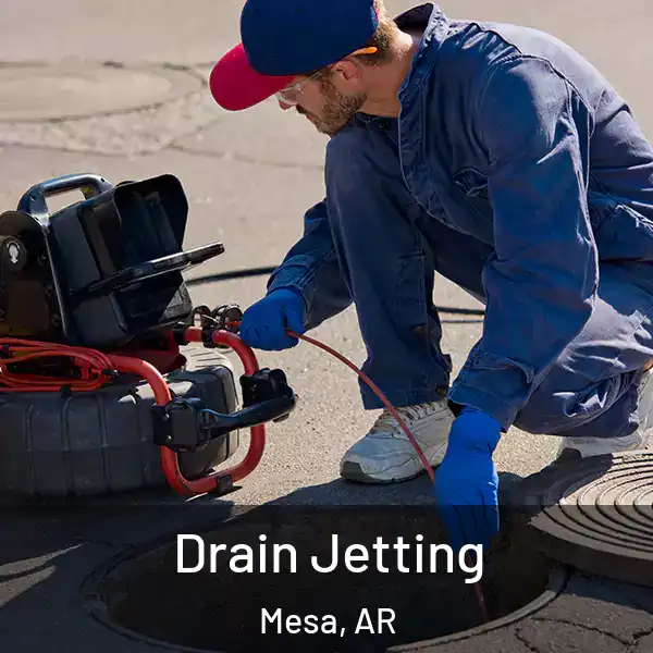  Drain Jetting Mesa, AR