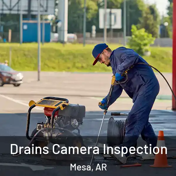  Drains Camera Inspection Mesa, AR