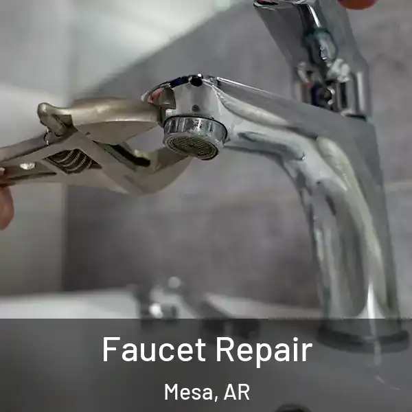  Faucet Repair Mesa, AR