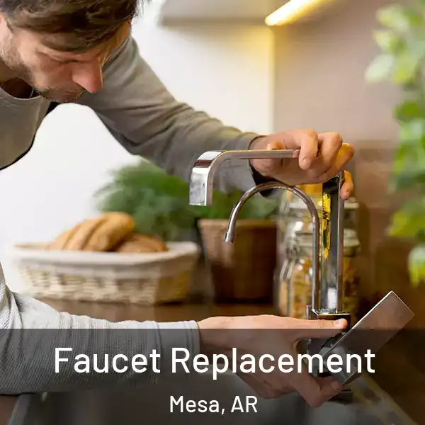  Faucet Replacement Mesa, AR