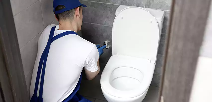 Toilet Lid Replacement in Phoenix