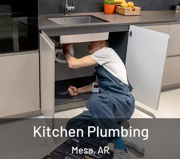  Kitchen Plumbing Mesa, AR