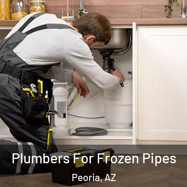  Plumbers For Frozen Pipes Peoria, AZ