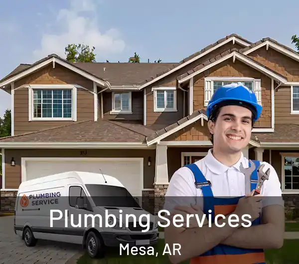  Plumbing Services Mesa, AR