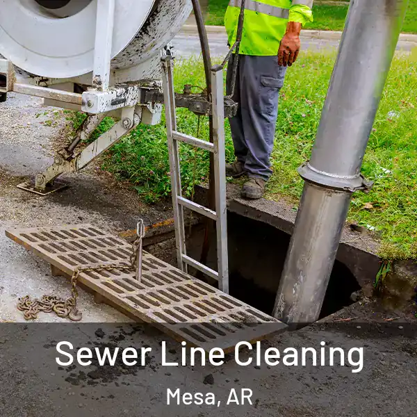  Sewer Line Cleaning Mesa, AR