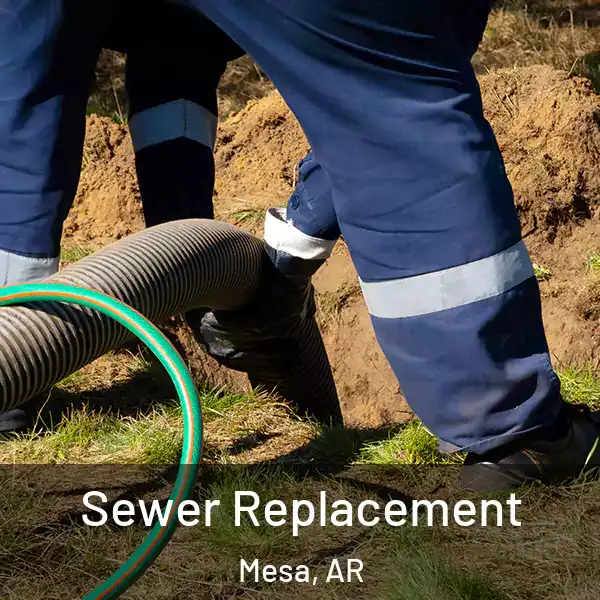  Sewer Replacement Mesa, AR