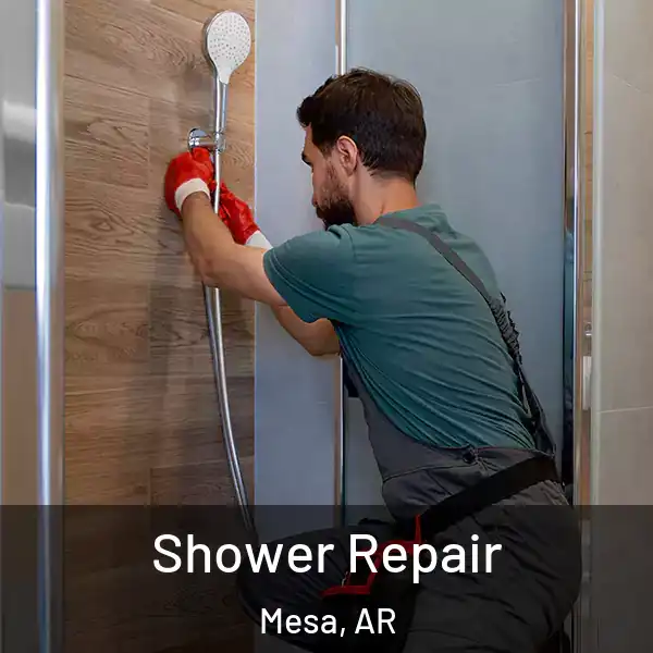  Shower Repair Mesa, AR