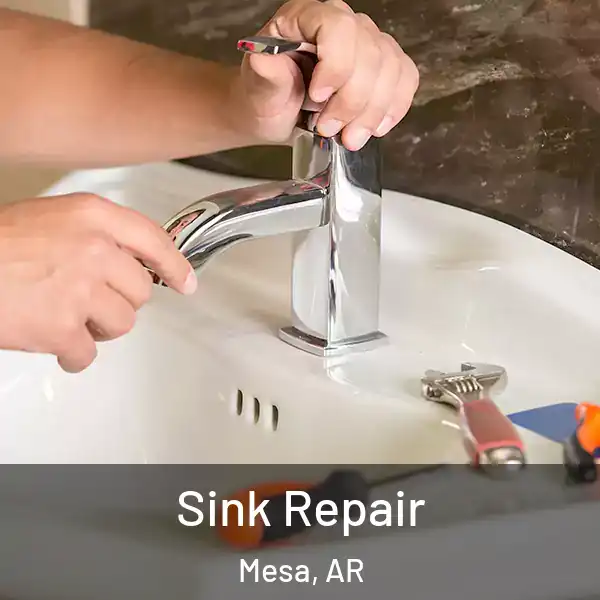 Sink Repair Mesa, AR