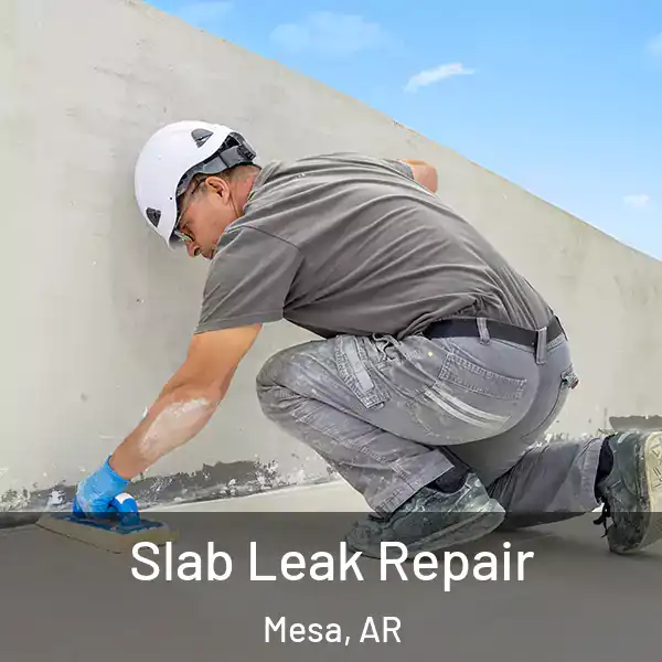 Slab Leak Repair Mesa, AR