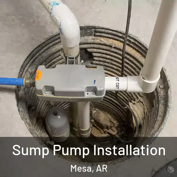  Sump Pump Installation Mesa, AR