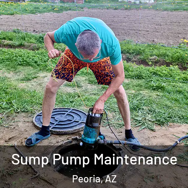  Sump Pump Maintenance Peoria, AZ