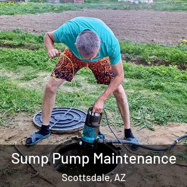  Sump Pump Maintenance Scottsdale, AZ