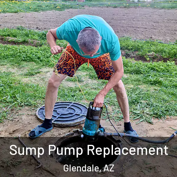  Sump Pump Replacement Glendale, AZ
