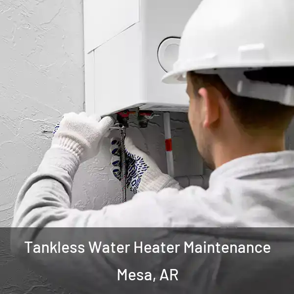  Tankless Water Heater Maintenance Mesa, AR