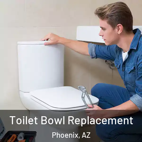  Toilet Bowl Replacement Phoenix, AZ