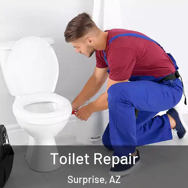 Toilet Repair Surprise, AZ