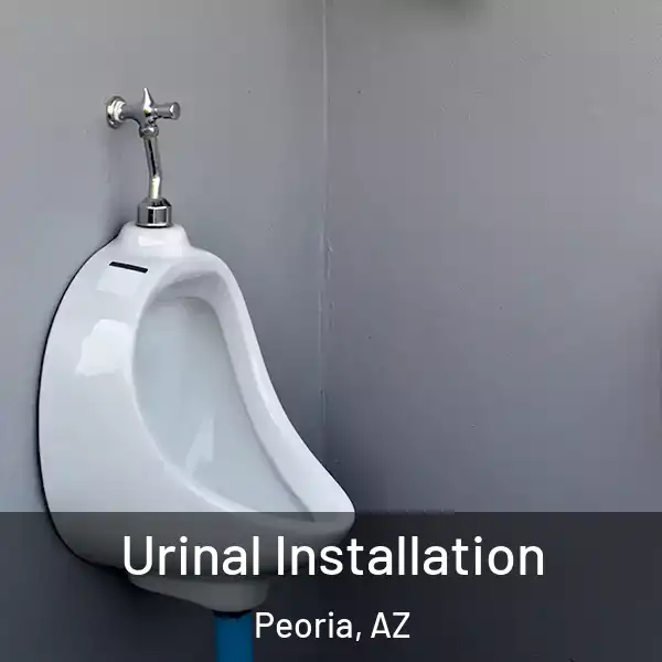  Urinal Installation Peoria, AZ