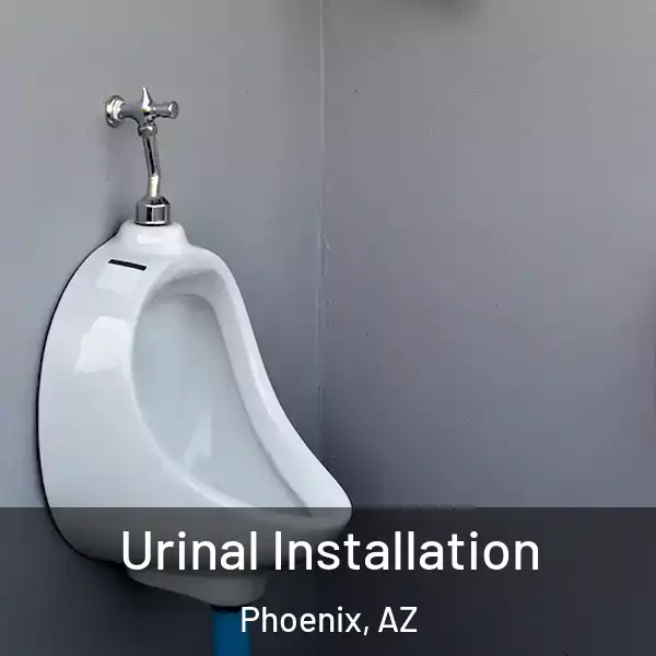  Urinal Installation Phoenix, AZ