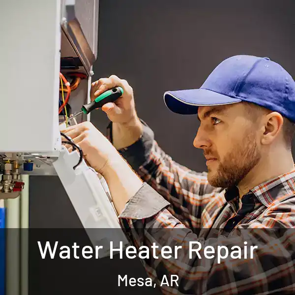  Water Heater Repair Mesa, AR