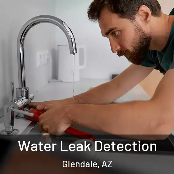  Water Leak Detection Glendale, AZ