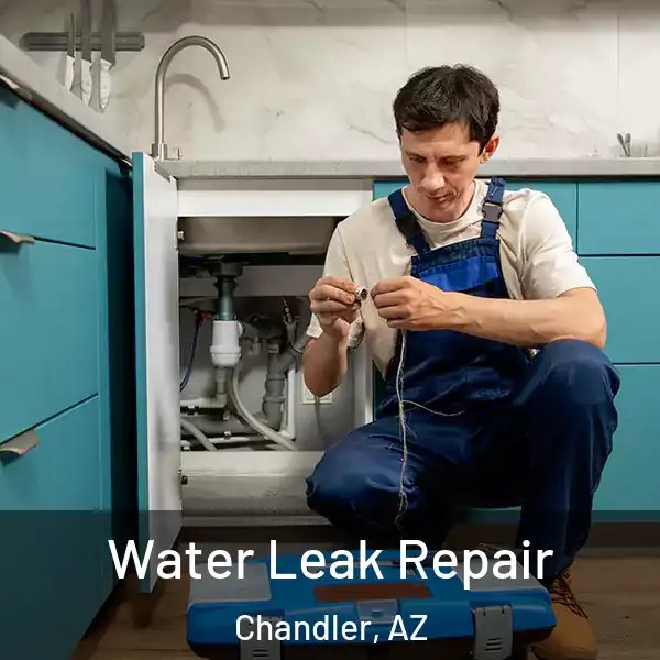  Water Leak Repair Chandler, AZ