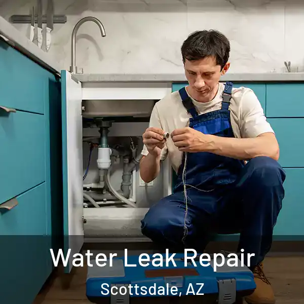  Water Leak Repair Scottsdale, AZ